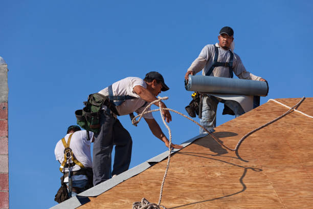 Best Roof Gutter Cleaning  in Kerrville, TX
